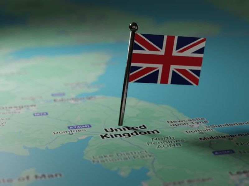 ALE ODKRYCIE W UK! Po raz pierwszy od 200 lat spotkano to zwierzę!