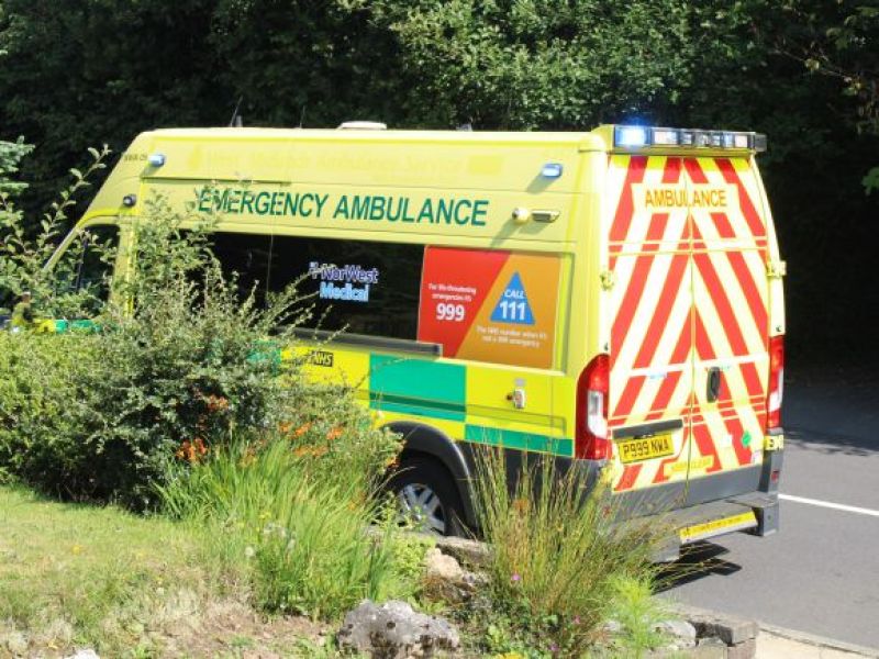 UK: 10-latek w szpitalu po ataku dwóch psów! Właścicielka zwierząt UCIEKŁA z miejsca zdarzenia!