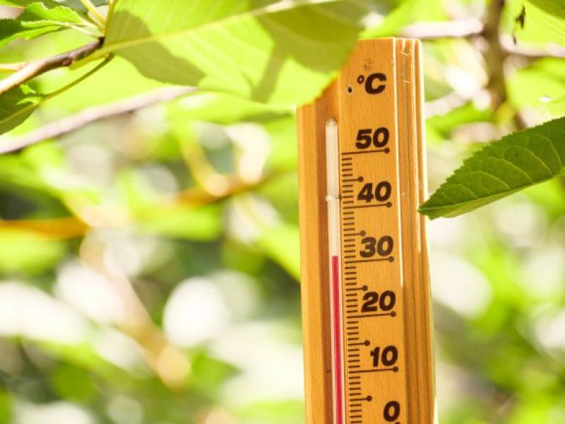 Od jutra ALERTY zdrowotne w UK w związku z falą upałów! Bardzo wysokie temperatury co najmniej do wtorku!