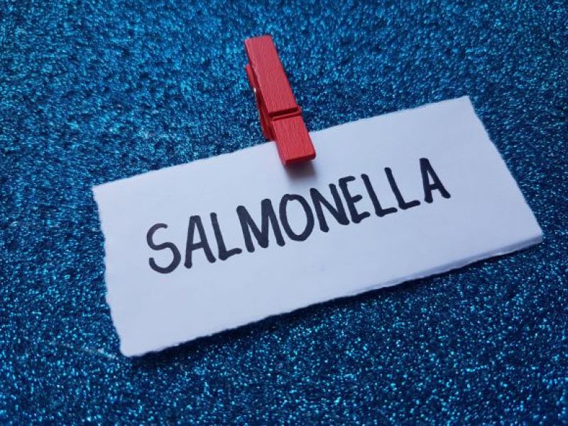 Salmonella w supermarketach w UK! Skażone produkty wycofywane - NIE JEDZCIE ICH!