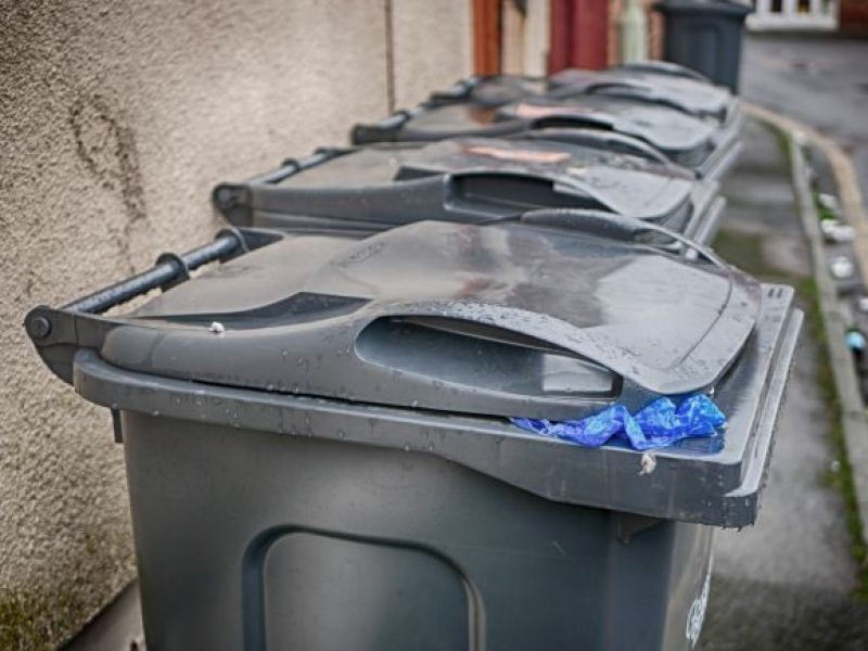 Council przeprasza - 10 tygodni czekania na wywóz śmieci!