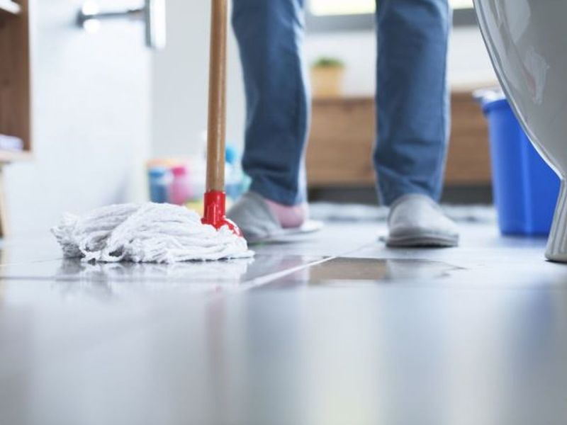 Inwazja owadów w brytyjskich domach - eksperci doradzają co robić