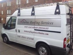 Darius Roofing Services